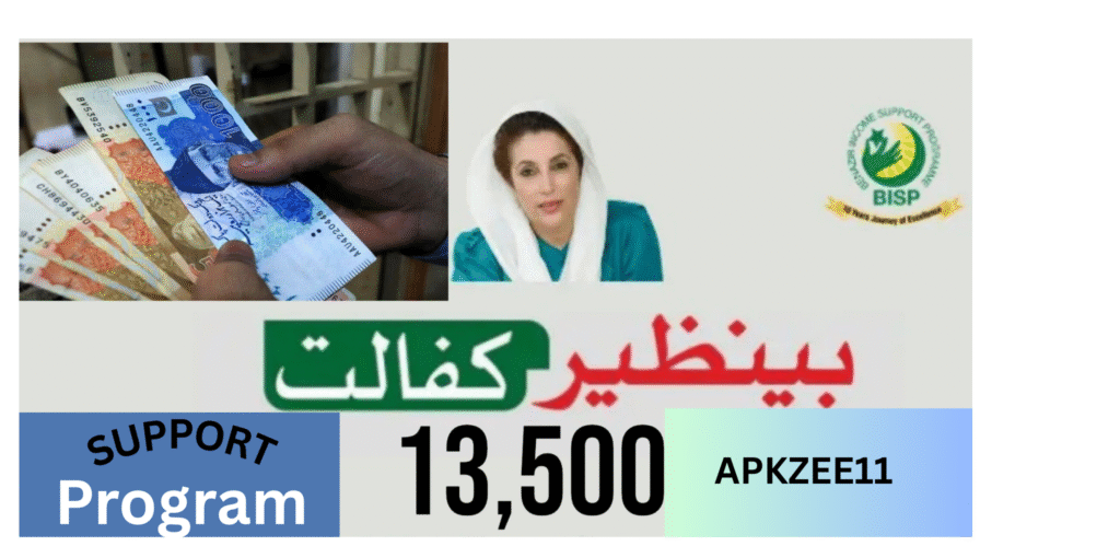 Benazir Income Support Application Form