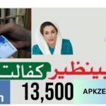 Benazir Income Support Application Form